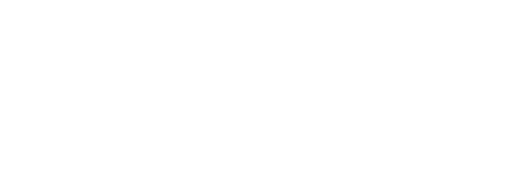 Living Stone Logo white Living Stone Design Build logo