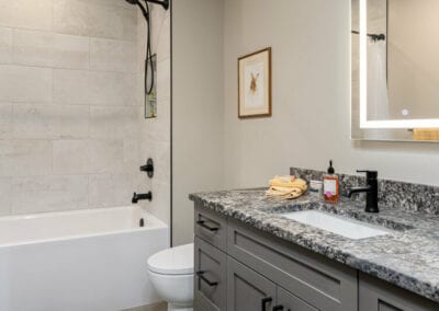 Living Stone Design+Build Park Bathroom Counter