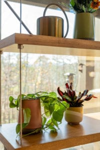 Living Stone Design+Build Amato Plants