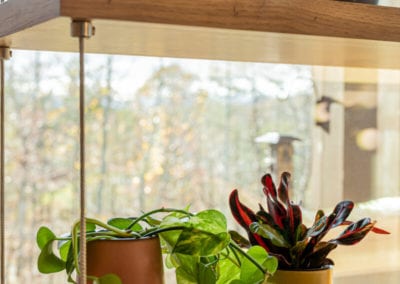 Living Stone Design+Build Amato Plants