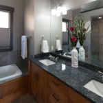 North Asheville Timberpeg bathroom