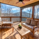 North Asheville Timberpeg screen porch