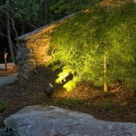 2008frontiergroup_acm_settings_1958