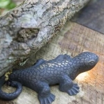 2008frontiergroup_acm_settings_2085