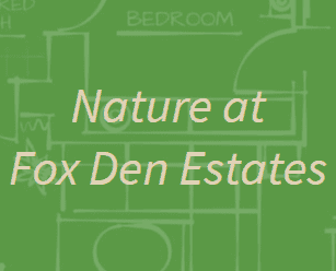 Nature at Fox Den Estates