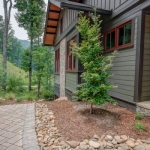 Black Mountain Transitional Craftsman exterior