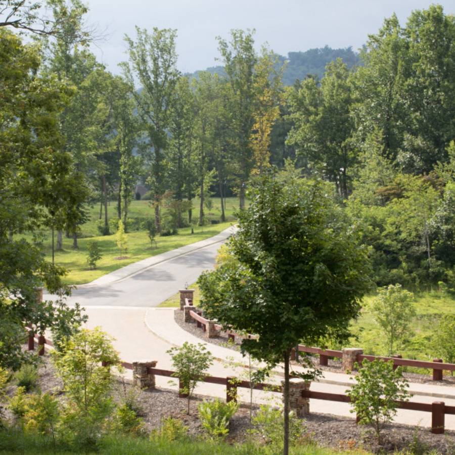 Thom’s Estate